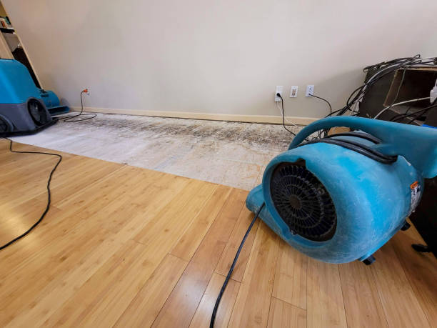 Professional Water Damage Repair technician working in Oneonta, AL